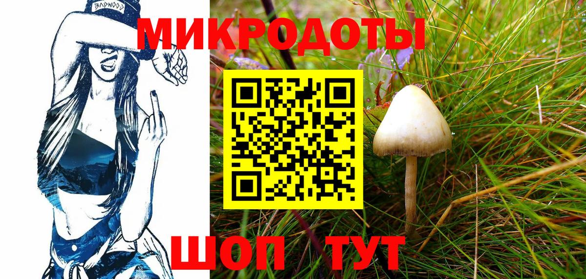 Галлюциногенные грибы Cubensis  Вход с VPN  Ялта 